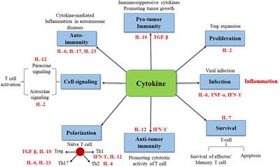 Serum cytokine levels and other associated factors as possible immunotherapeutic targets and prognostic indicators for lung cancer